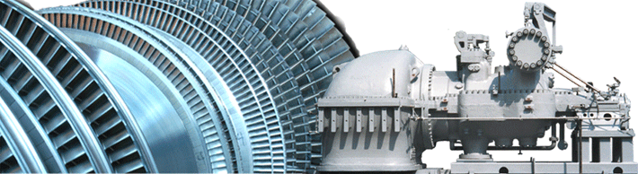 muti-valve steam turbine